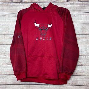 Boy Chicago Bulls Red Hoodie Sweatshirt, Size XL